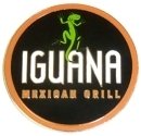 Hard Enamel Iguana Grill Pin