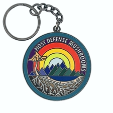 custom enamel keychains custom enamel keychains